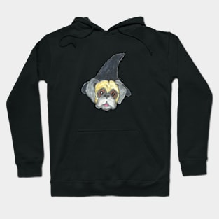 Halloween Witch Pug Hoodie